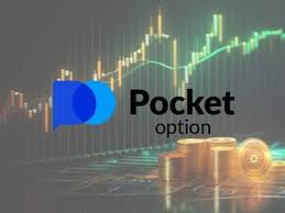 Покет опшн живая торговля как начать и добиться успеха