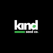 Exploring the Best Options for Cannabis Seeds NY