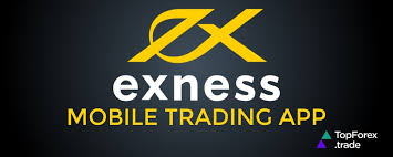 Unlock Your Trading Potential with a Live Exness Metatrader 5 Account Unlock Your Trading Potential with a Live Exness Metatrader 5 Account